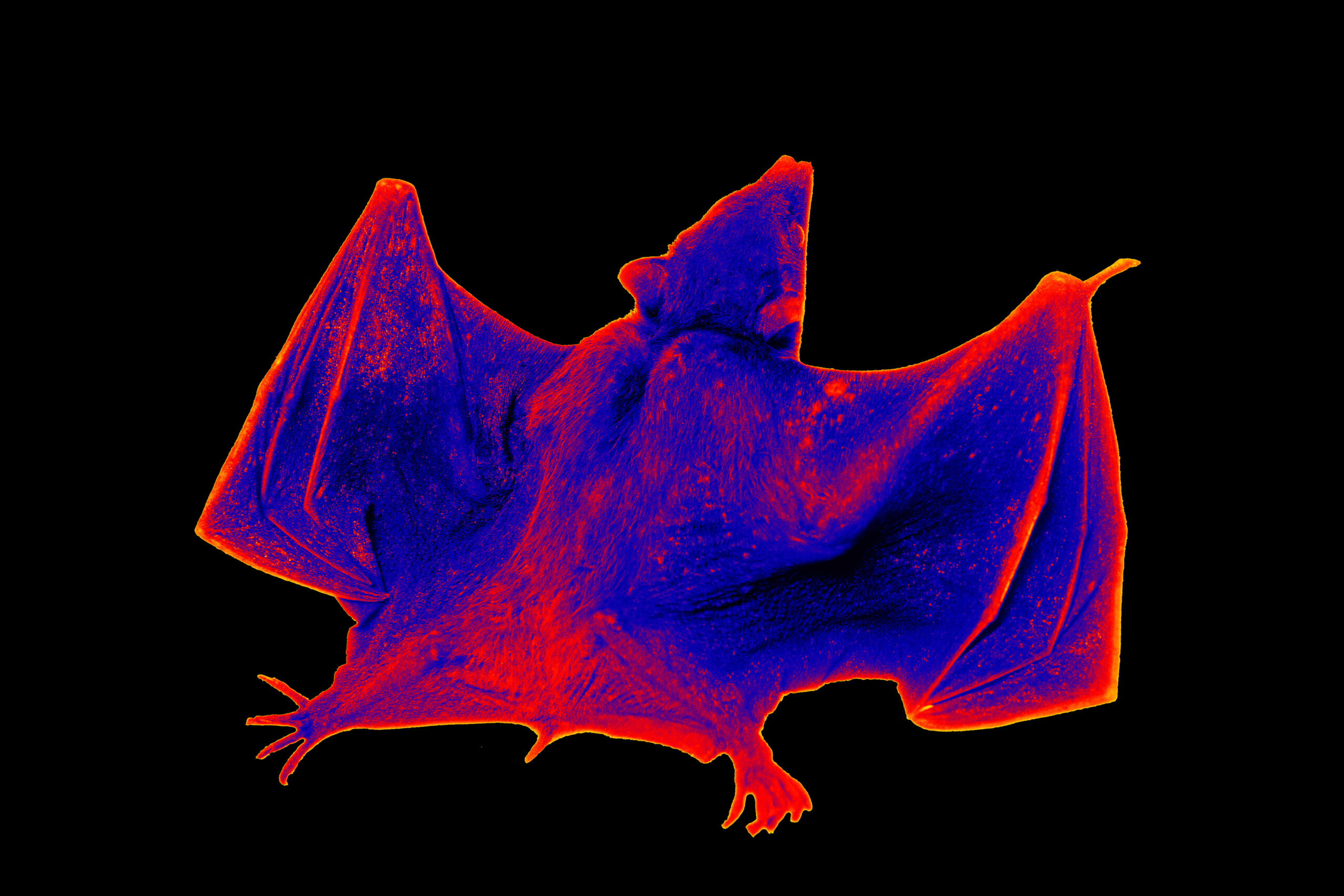 Infrared technology scaled