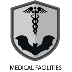Healthcare and hospital bat removal specialists